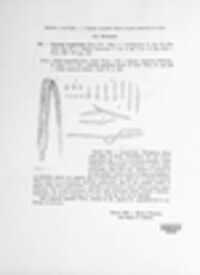 Ustilago filiformis image